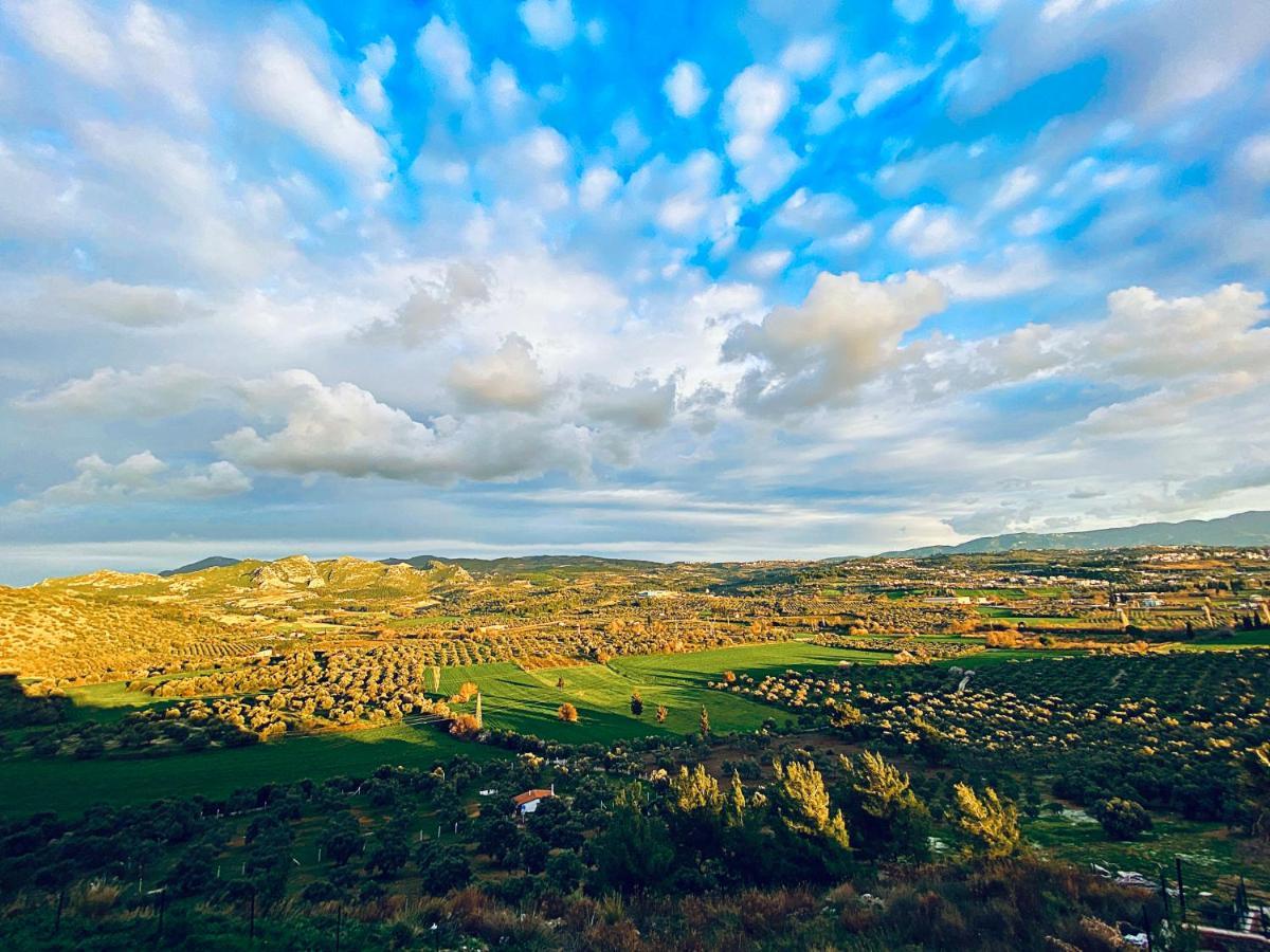Vista Panorama קוסדסי מראה חיצוני תמונה